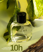 Muted Forest Extrait de Parfum | Woody & Earthy Fragrance | 50ml