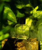 Muted Forest Extrait de Parfum | Woody & Earthy Fragrance | 50ml