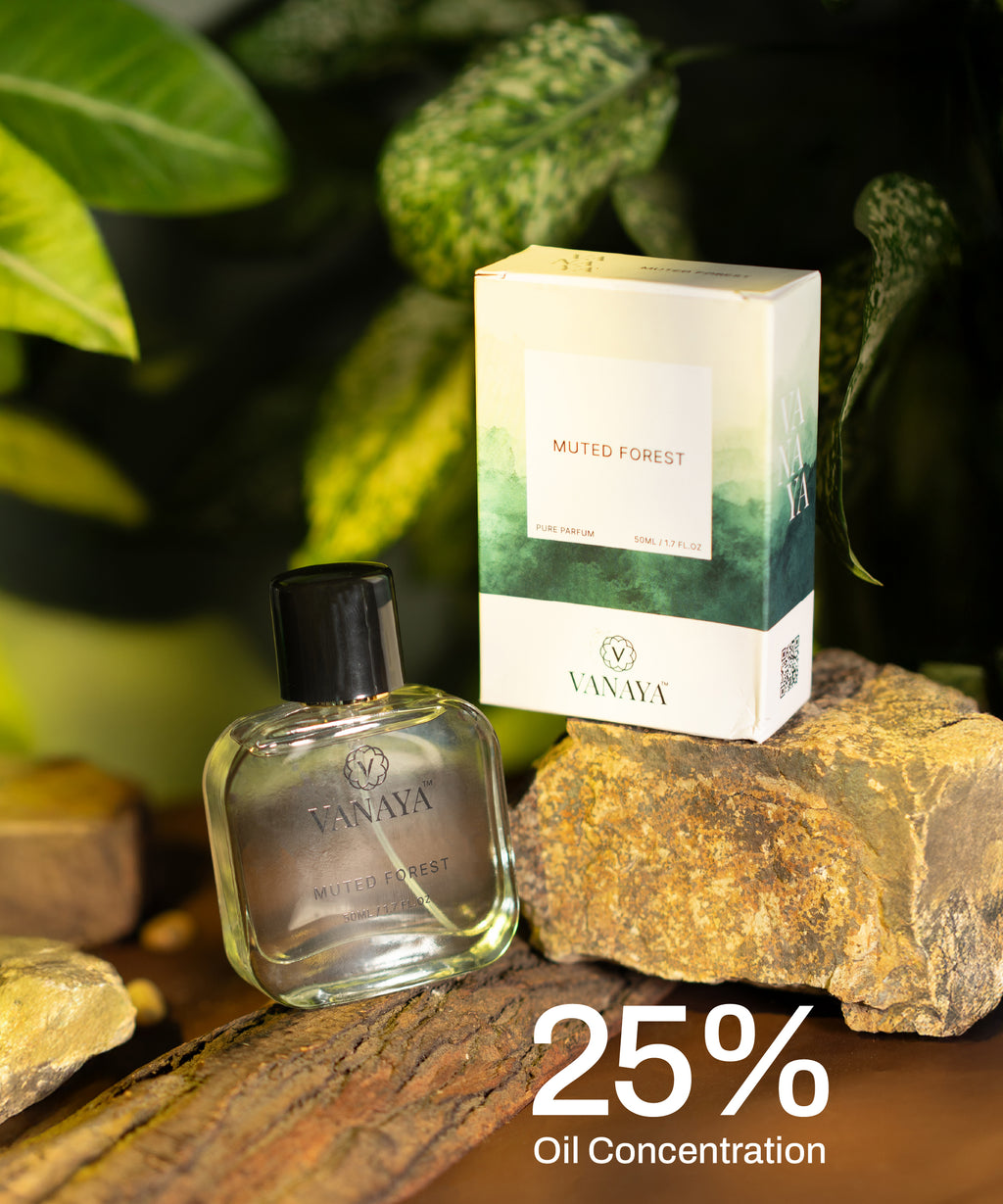 Muted Forest Extrait de Parfum | Woody & Earthy Fragrance | 50ml
